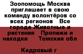 Зоопомощь.Москва приглашает в свою команду волонтёров со всех регионов - Все города Животные и растения » Пропажи и находки   . Томская обл.,Кедровый г.